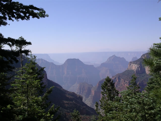 images/Hiking North Rim- Widforss Trail (1).jpg